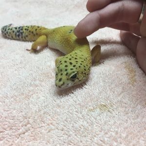 Meet your Posher, Madeline